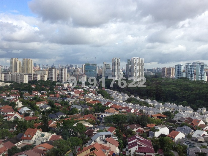 The Trizon thumbnail photo